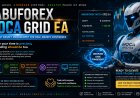 BabuForex Moca Grid EA