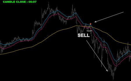 Breakout Rhonchus PRO - indicator for MetaTrader 4